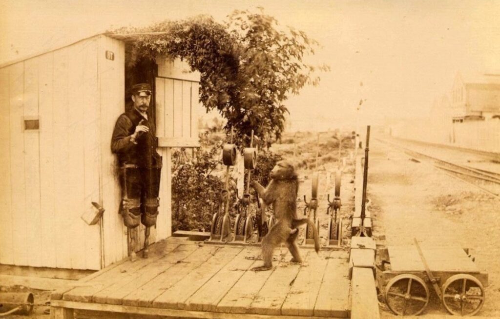 Man with baboon operating railway lever system.
